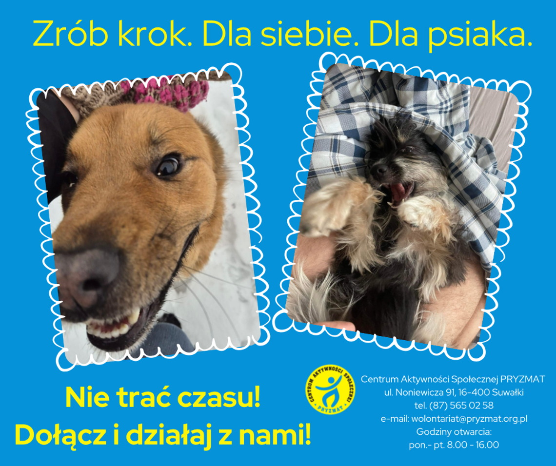 🐾 Razem dla zwierząt – lekcja wrażliwości w praktyce 🐾 Razem dla zwierząt – lekcja wrażliwości w praktyce