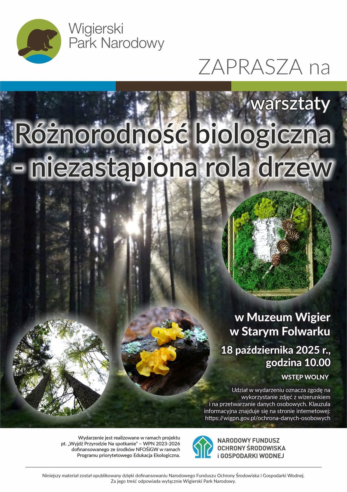 🌿 Rodzinne warsztaty w Muzeum Wigier – „Obrazy z mchu” już 18 października 🍃