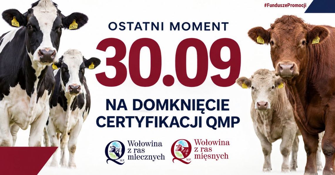 Rolnicy muszą pamiętać o certyfikacie QMP. Zostało niewiele czasu Rolnicy muszą pamiętać o certyfikacie QMP. Zostało niewiele czasu