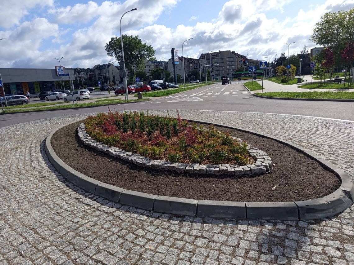 Rondo przy ul. Daszyńskiego zyskało nowe oblicze. Beton zastąpiła zieleń
