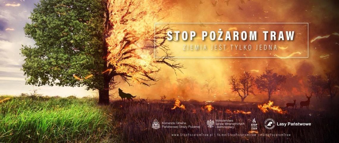 Ruszyła kampania „Stop Pożarom Traw”. Strażacy ostrzegają przed wypalaniem 🚒🔥