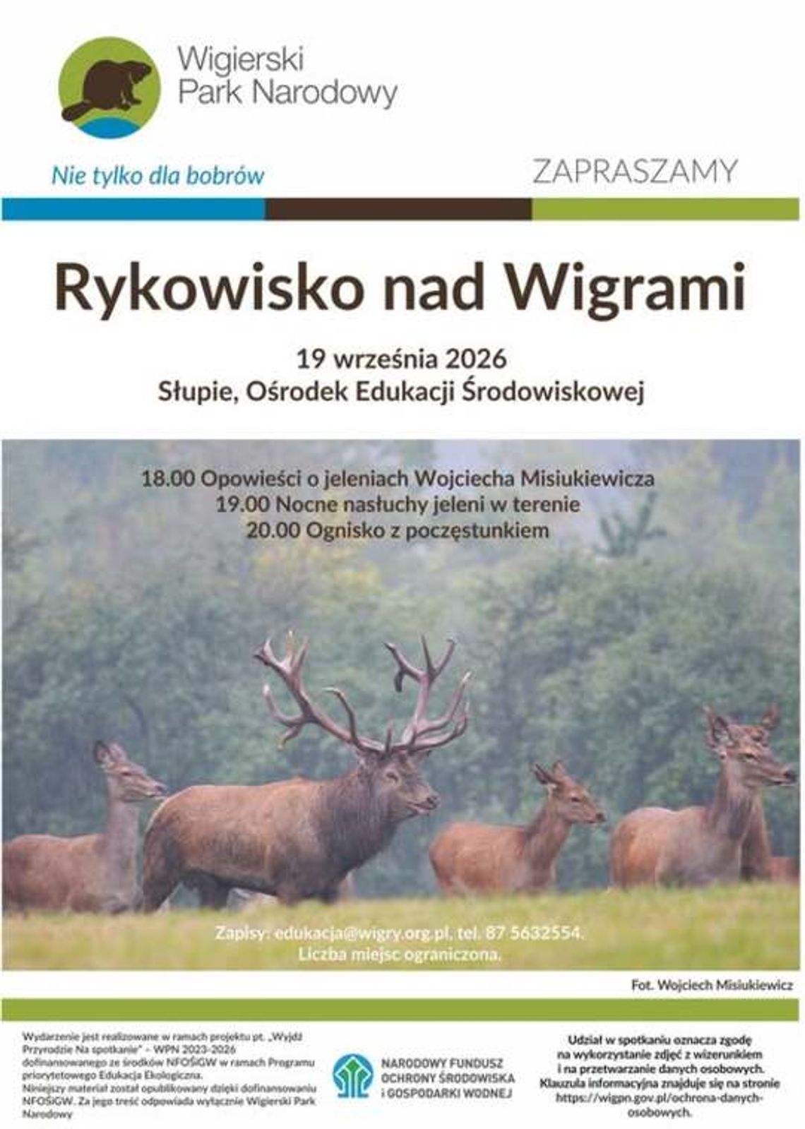 Rykowisko nad Wigrami. Wieczór z jeleniami już 19 września Rykowisko nad Wigrami. Wieczór z jeleniami już 19 września