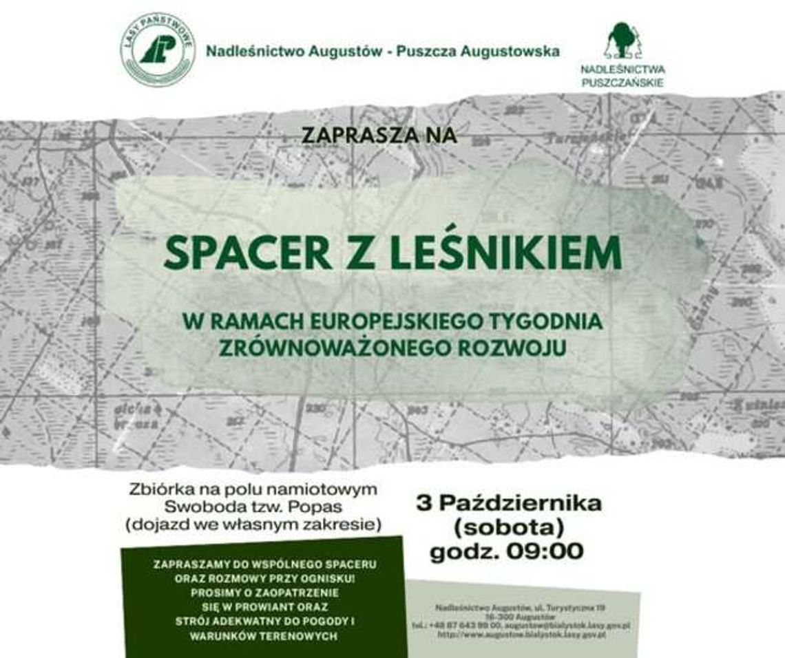 Spacer z leśnikiem w Puszczy Augustowskiej. Będzie okazja do rozmowy przy ognisku Spacer z leśnikiem w Puszczy Augustowskiej. Będzie okazja do rozmowy przy ognisku