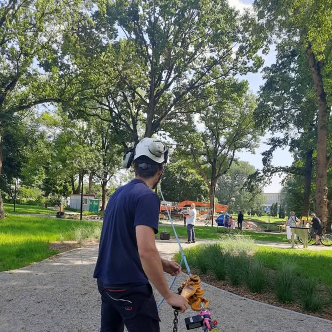 🌳 Suwałki: test obciążeniowy drzewa w Parku Sensorycznym