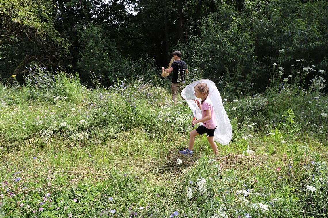 Suwalski Park Krajobrazowy zamienił się w królestwo motyli Wyjątkowe spotkanie z ekspertami