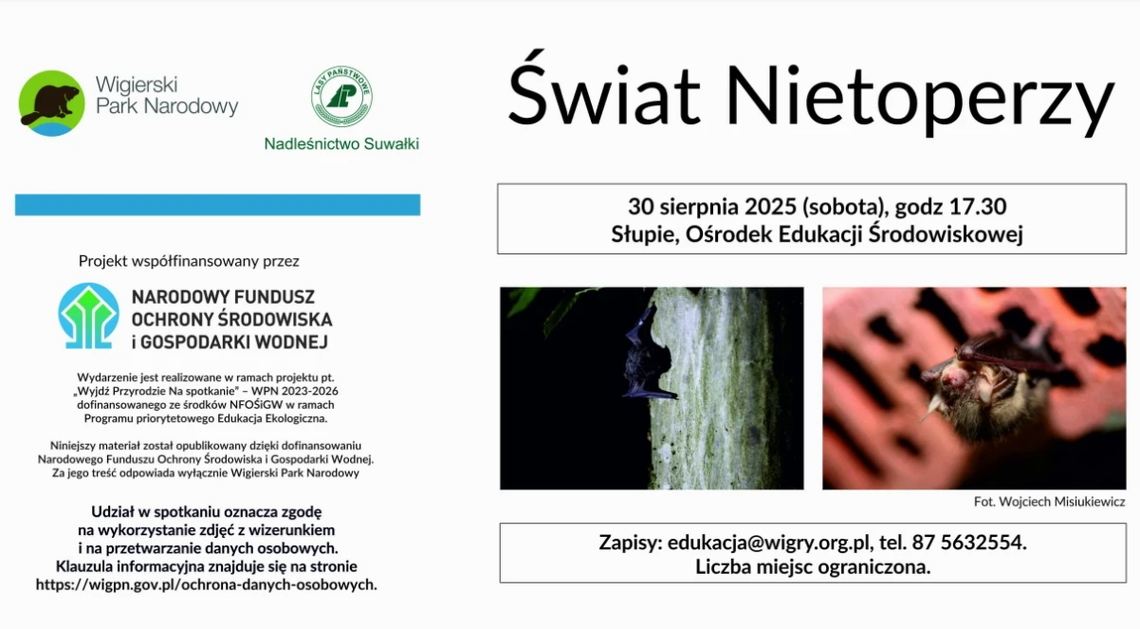 🦇 Świat Nietoperzy w Wigierskim Parku Narodowym