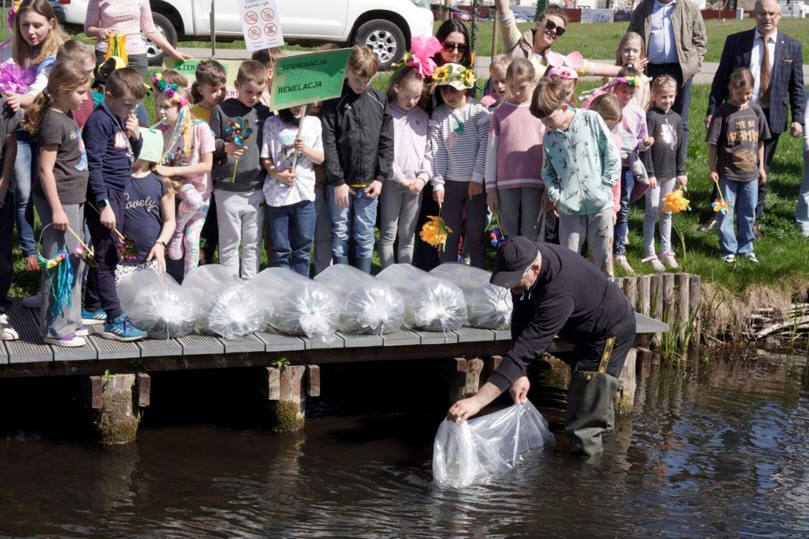 Światowy Dzień Ziemi nad Czarną Hańczą. Rzeka zostanie zarybiona pstrągiem