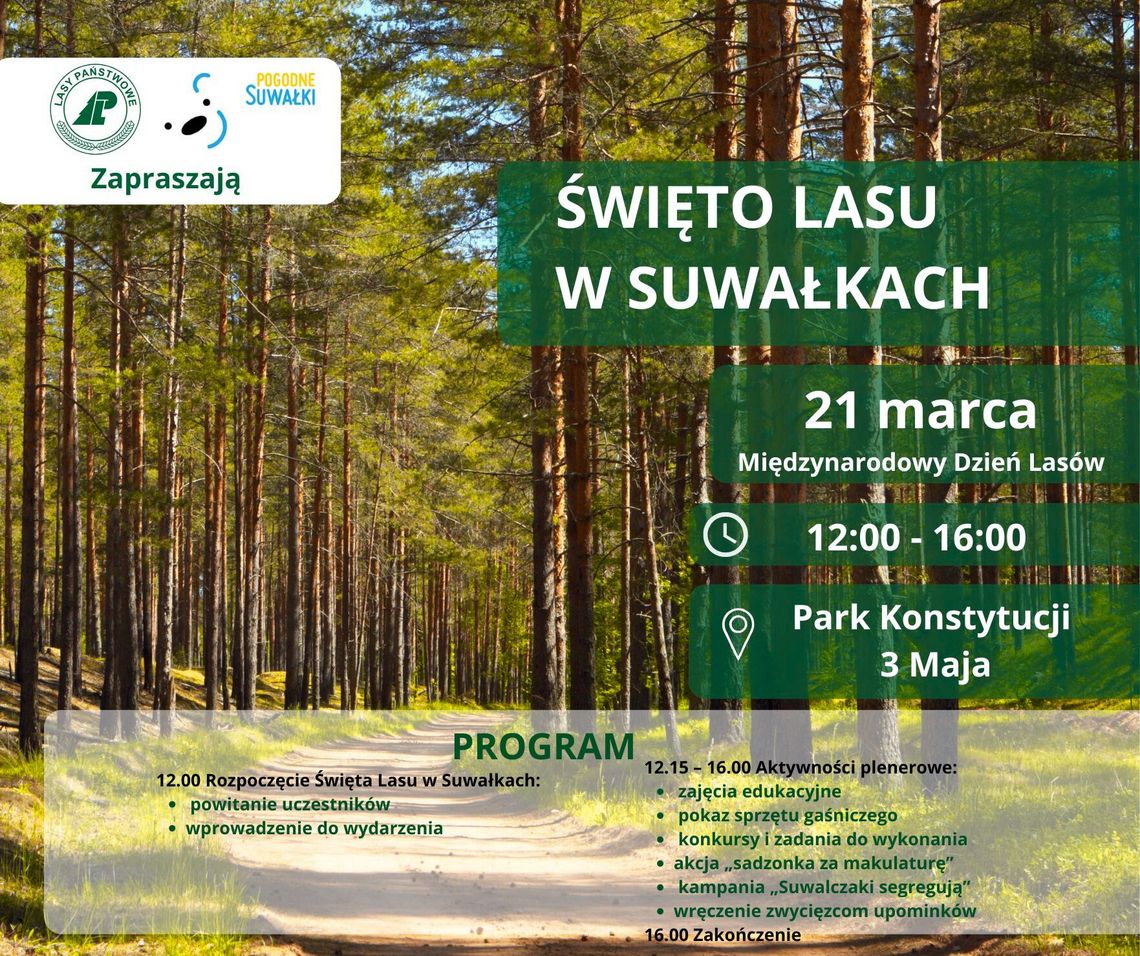 Święto Lasu w Suwałkach. Sadzonki za makulaturę i atrakcje dla mieszkańców