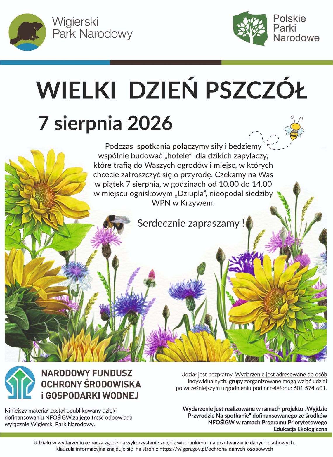Wielki Dzień Pszczół w Wigierskim Parku Narodowym. Powstaną domki dla dzikich zapylaczy