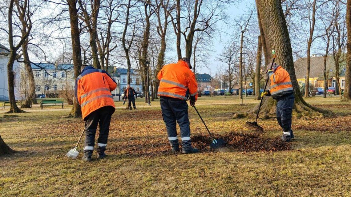 Wiosenne prace w suwalskiej zieleni. Trwa przycinanie krzewów i porządkowanie rond