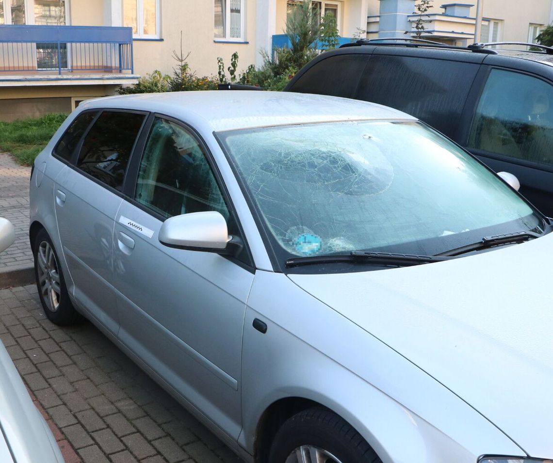 Włamał się do Audi i zasnął za kierownicą. Przykrył się kocem Włamał się do Audi i zasnął za kierownicą. Przykrył się kocem