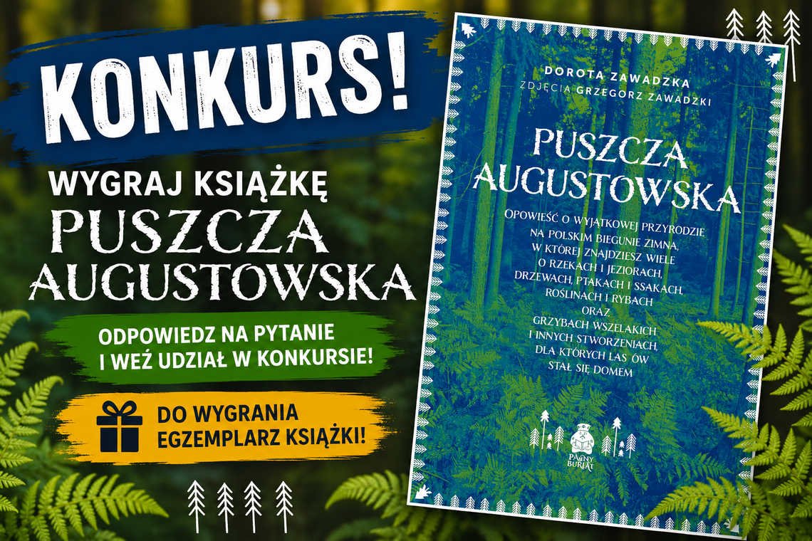 🌲 Wygraj wyjątkową książkę o Puszczy Augustowskiej. Odpowiedz na pytanie i zgarnij egzemplarz publikacji 🌲 Wygraj wyjątkową książkę o Puszczy Augustowskiej. Odpowiedz na pytanie i zgarnij egzemplarz publikacji
