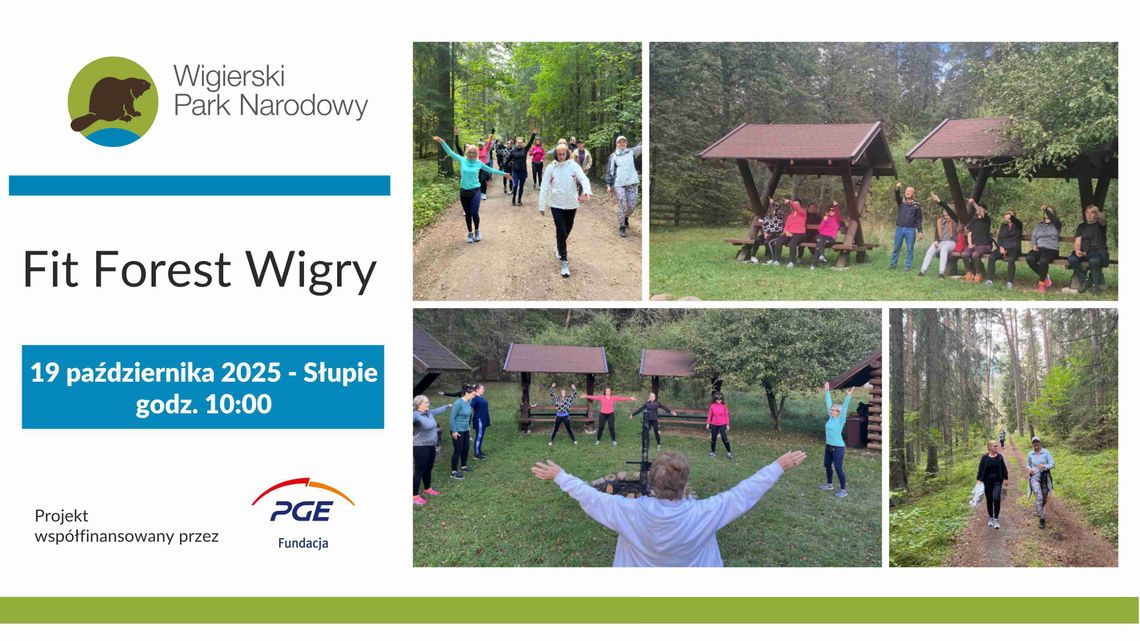 Z energią przez las – dobroczynna aktywność fizyczna w Wigierskim Parku Narodowym 🌿 Z energią przez las – dobroczynna aktywność fizyczna w Wigierskim Parku Narodowym 🌿