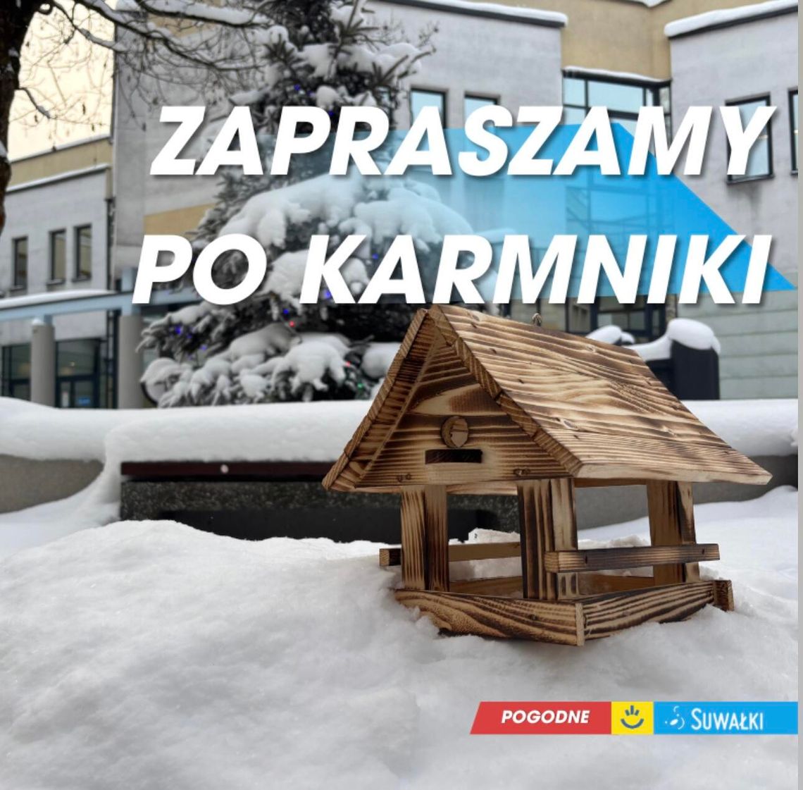 Zapraszamy po darmowe karmniki dla ptaków 🐦