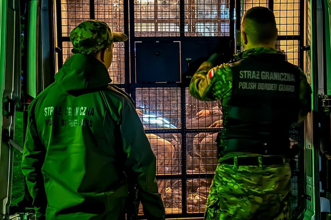 Zatrzymani przy granicy z Litwą. Siedmiu migrantów przekroczyło granicę pieszo Zatrzymani przy granicy z Litwą. Siedmiu migrantów przekroczyło granicę pieszo