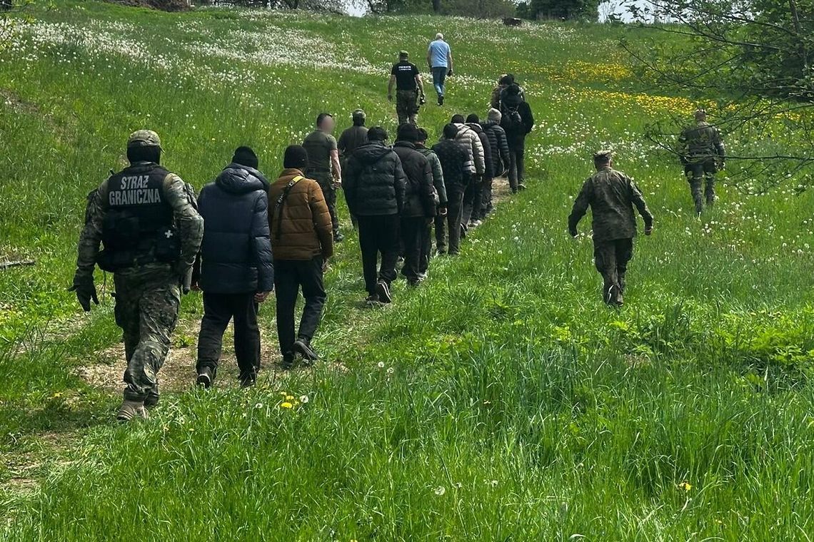 Zatrzymanie nielegalnych migrantów przy granicy polsko-litewskiej Zatrzymanie nielegalnych migrantów przy granicy polsko-litewskiej
