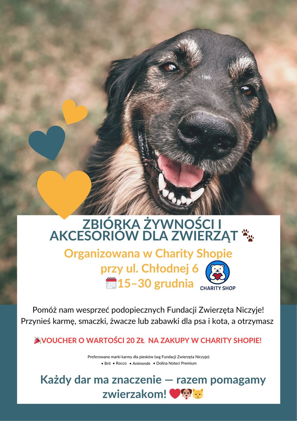 Zbiórka świąteczna dla zwierząt w Suwałkach Zbiórka świąteczna dla zwierząt w Suwałkach