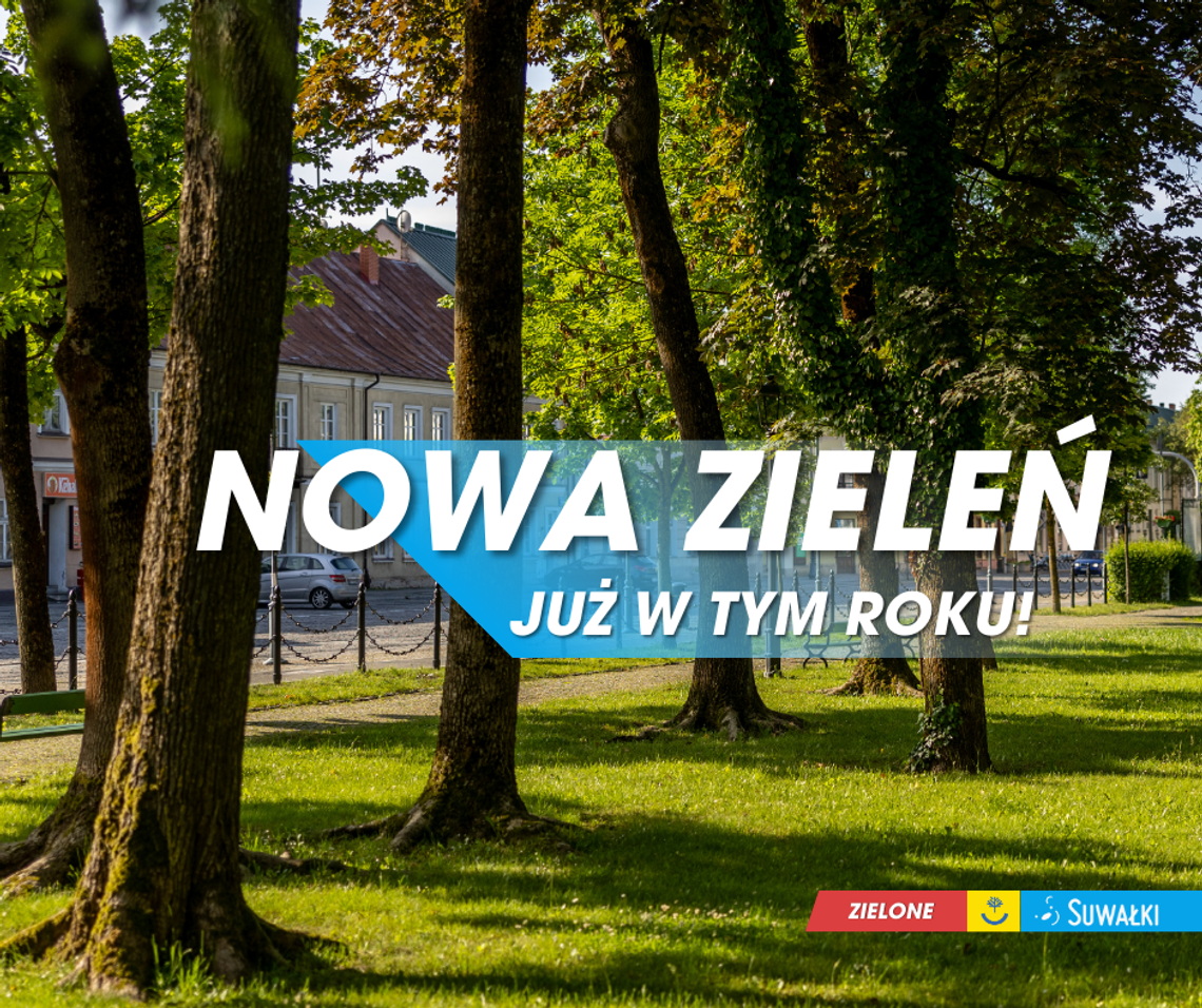 🌳 Zielone Suwałki – ruszają prace!