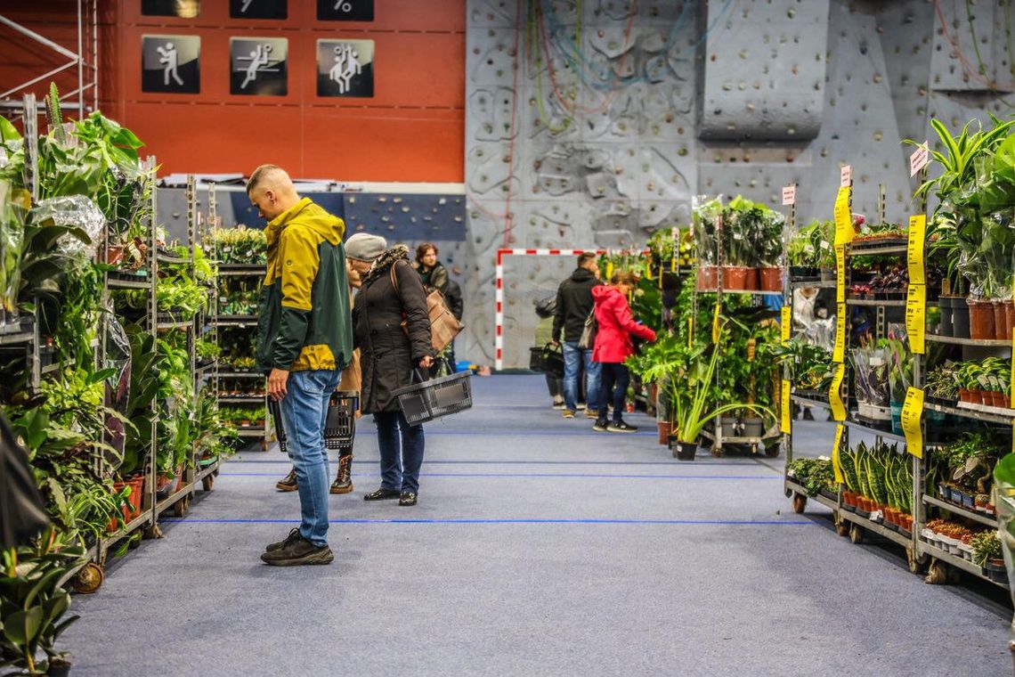 🌿 Zielony zawrót głowy w Suwałkach! Festiwal Roślin zachwycił odwiedzających 💚