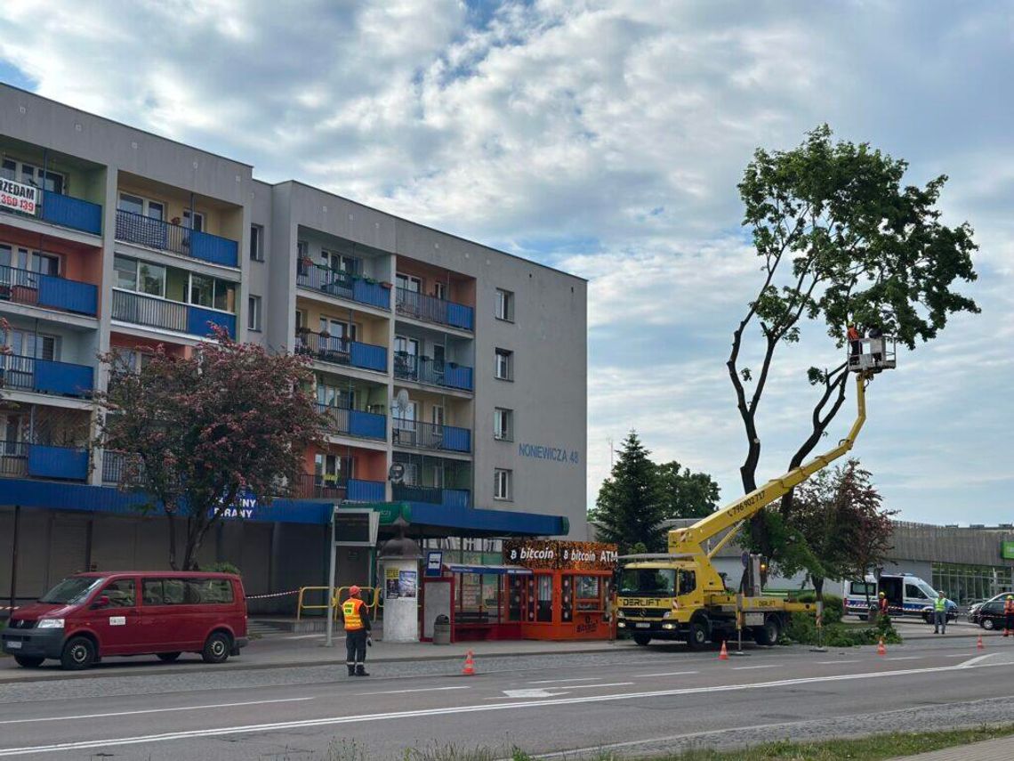 🌳 Znane drzewo przy Noniewicza zniknęło. Powodem było zagrożenie dla mieszkańców 🌳 Znane drzewo przy Noniewicza zniknęło. Powodem było zagrożenie dla mieszkańców