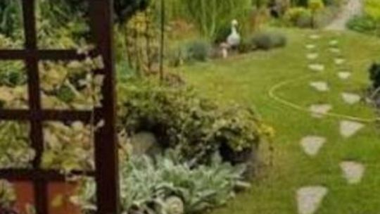 Działka ROD na terenach Rodzinnych Ogrodów Działkowych Kuków Działka ROD na terenach Rodzinnych Ogrodów Działkowych Kuków