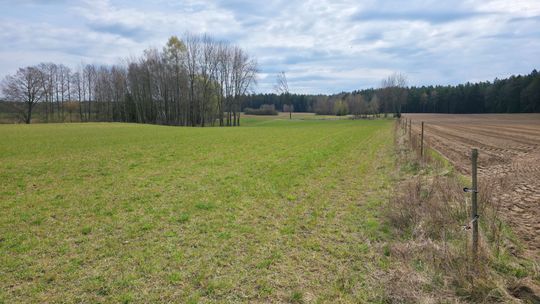 Działka rolna 2,78 ha  – Maćkowa Ruda