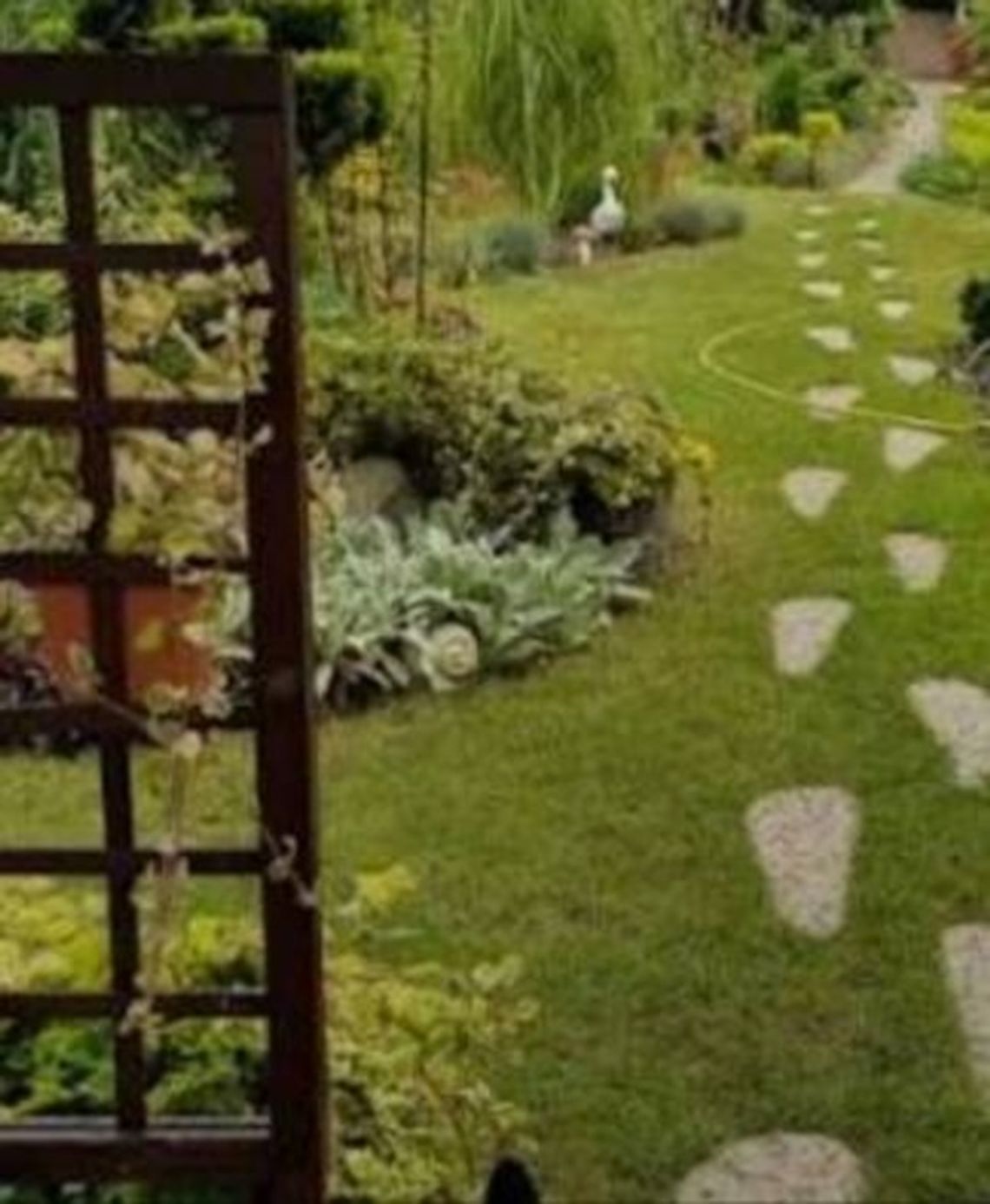 Działka ROD na terenach Rodzinnych Ogrodów Działkowych Kuków Działka ROD na terenach Rodzinnych Ogrodów Działkowych Kuków