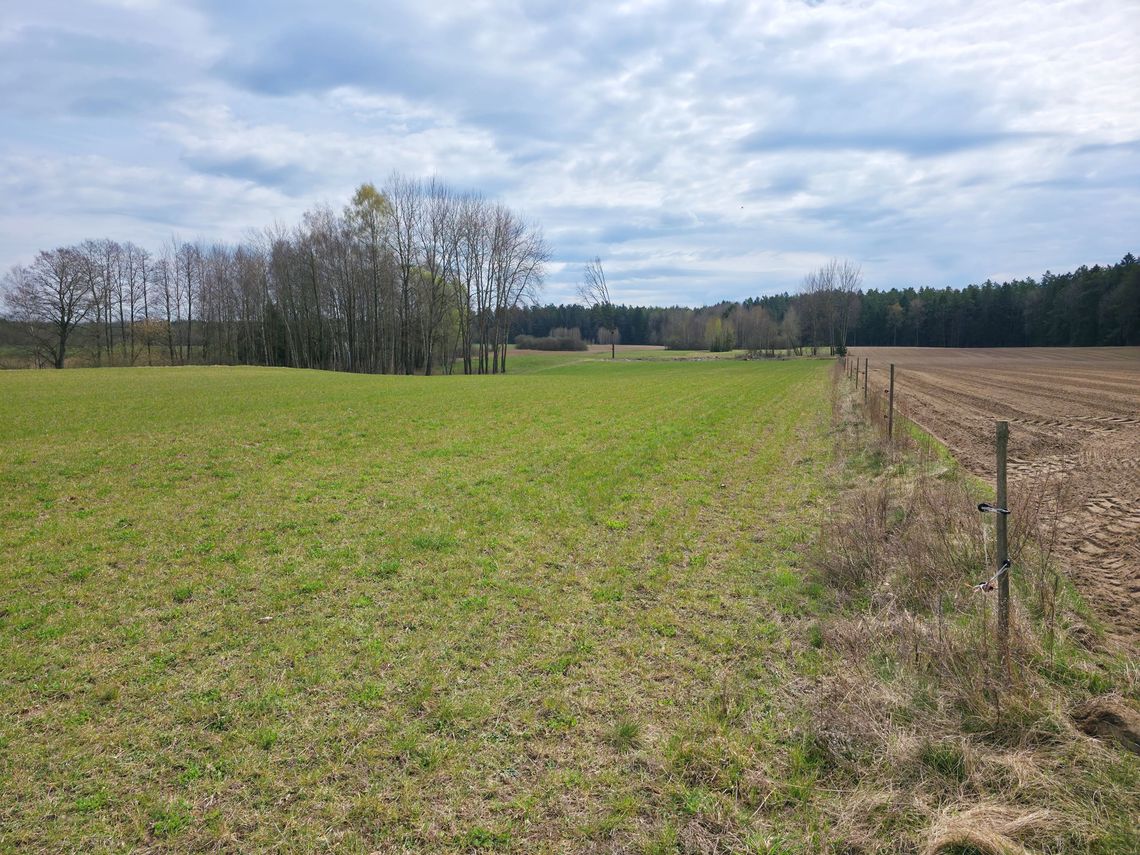 Działka rolna 2,78 ha  – Maćkowa Ruda