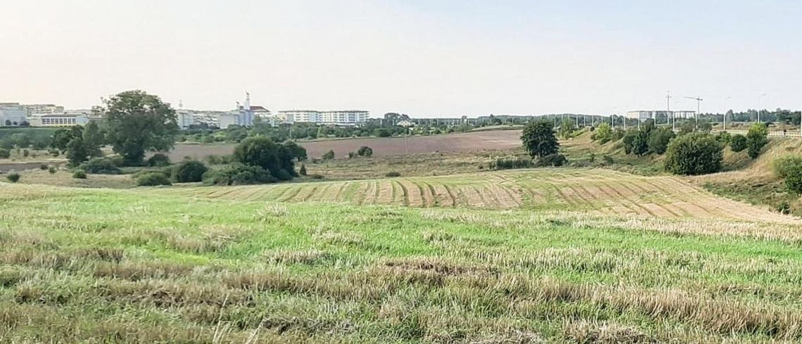 Ul. Różana, Suwałki - Na sprzedaż działka rolna o powierzchni 2,0277 ha